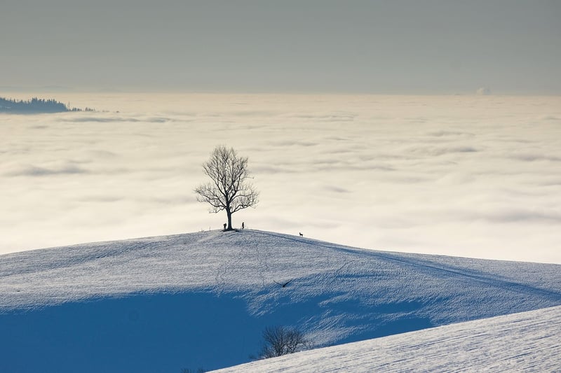 Mindful Hiking in Nature